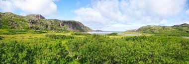 Landscape of the polar summer tundra clipart