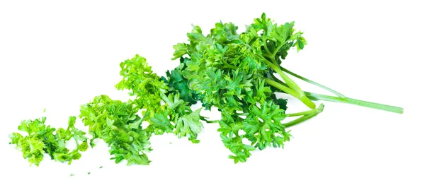 Cut green parsley bush Isolated on white background — Stock Photo, Image
