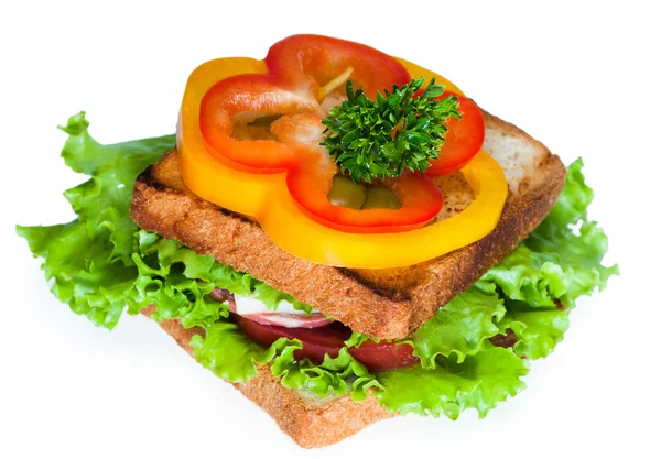 Sandwich on the white background — Stock Photo, Image