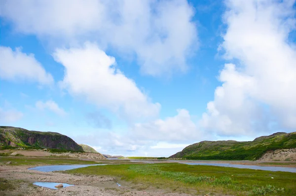 Landschaft der polaren Sommer-Tundra — Stockfoto