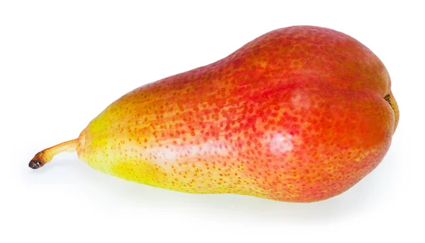 Single pear isolated on white background — Stock Photo, Image