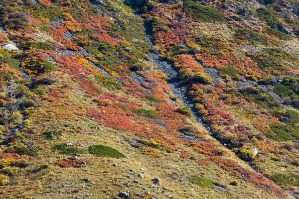 stock image Multi-colored mountain