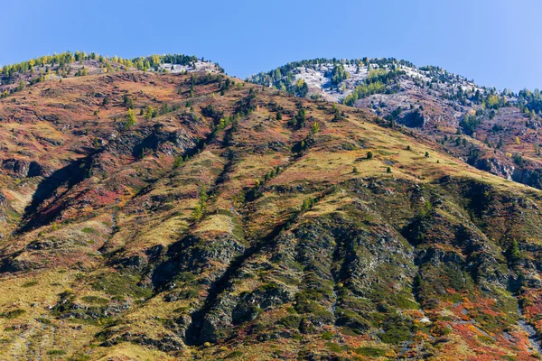 Осенний склон — стоковое фото