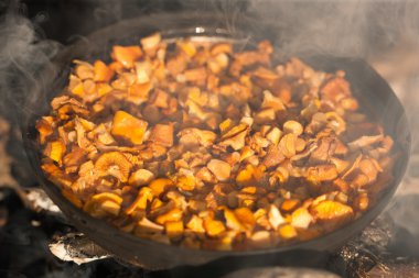 Chanterelles on a fire