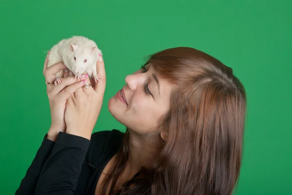 Ragazza con un ratto domestico bianco — Foto Stock