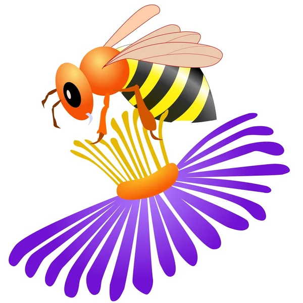 Včela na květině — Stockový vektor