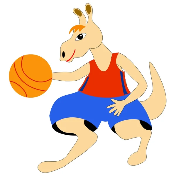 Canguru - jogador de basquete — Vetor de Stock