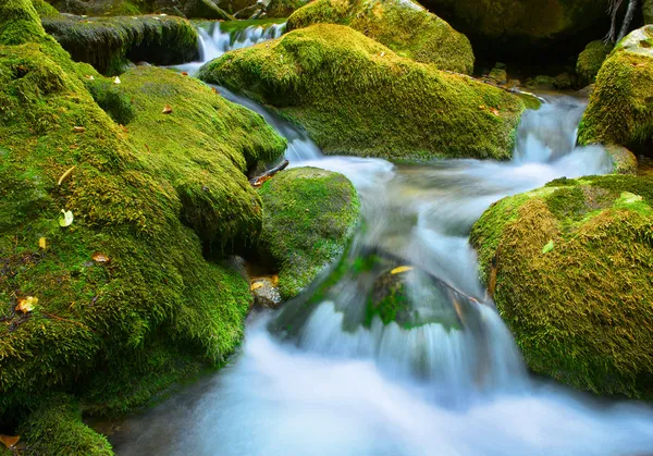 Cascada cae sobre rocas musgosas — Foto de Stock