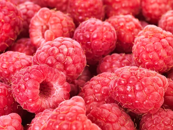 Raspberries summer background — Stock Photo, Image
