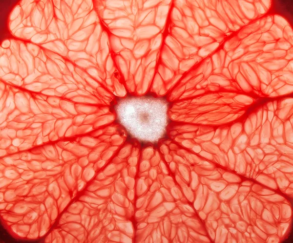 Макрос червоного грейпфрута — стокове фото
