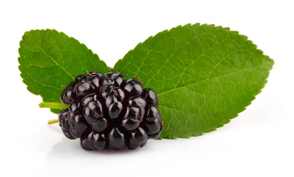 Group of mulberries with green leaves isolated — Stock Photo, Image