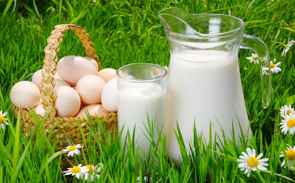 Jarra y vaso de leche con huevos, hierba y margaritas —  Fotos de Stock