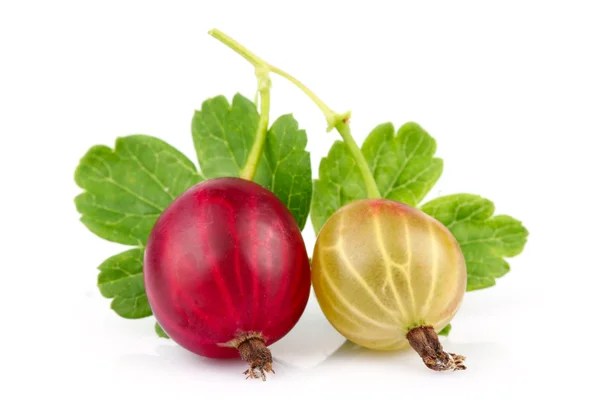 Zwei rote und gelbe Stachelbeeren mit grünen Blättern isoliert — Stockfoto