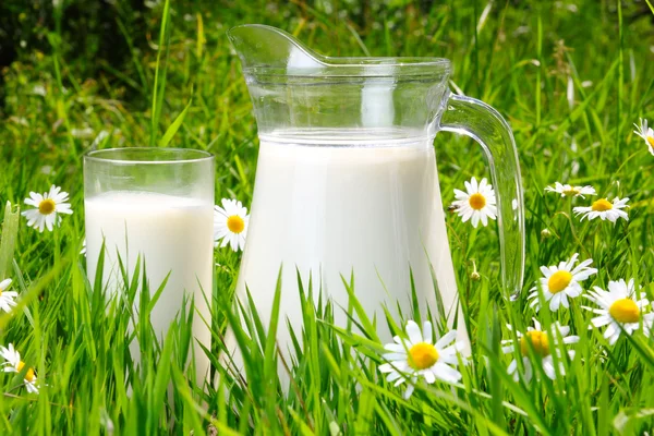 水差しと緑の草に牛乳のガラス — ストック写真