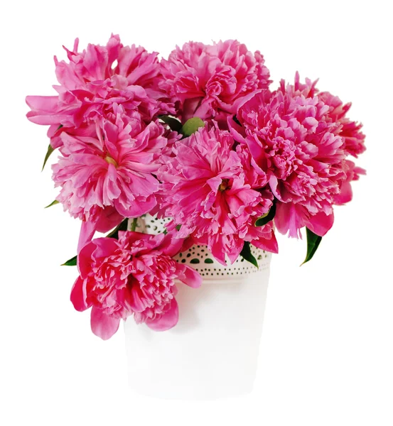 Flores de peônia rosa em vaso branco — Fotografia de Stock