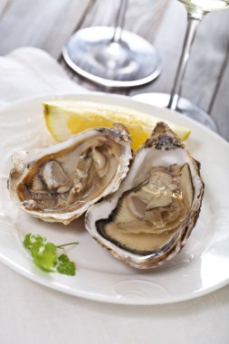 Fresh oysters clipart