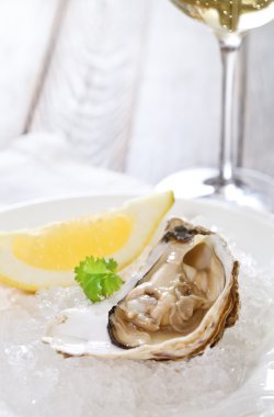 Fresh oyster platter served in ice clipart