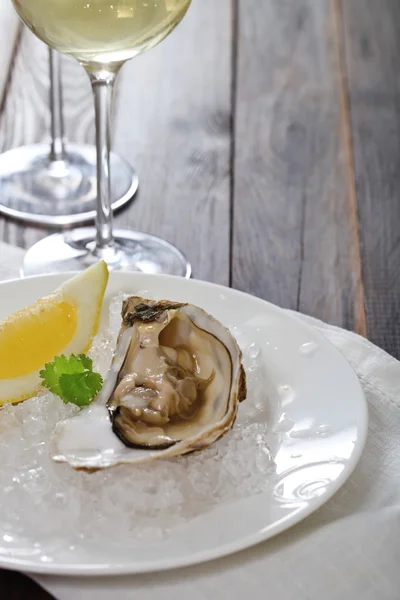 Fresh oysters and wine — Stock Photo, Image