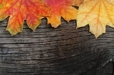 Autumn wooden background clipart