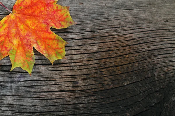 Осенний деревянный фон — стоковое фото