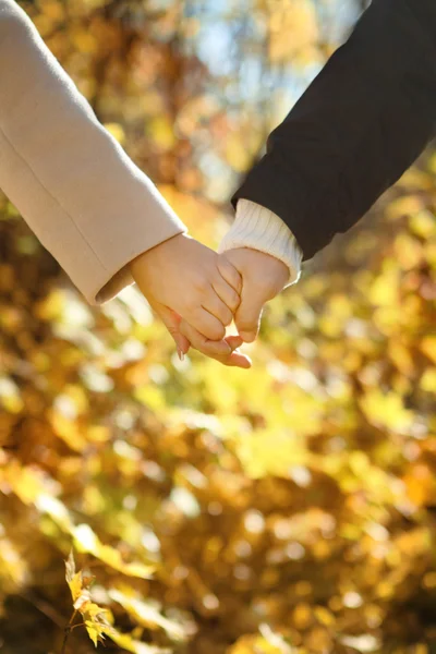Pareja joven cogida de la mano en el bosque de otoño —  Fotos de Stock