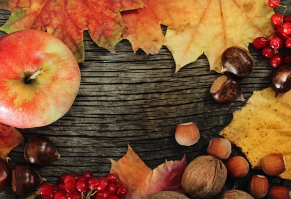 Bodegón con hojas de otoño —  Fotos de Stock
