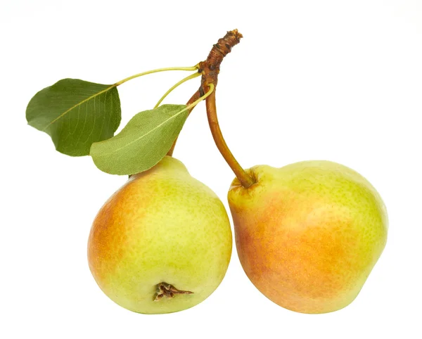 stock image Pears on white