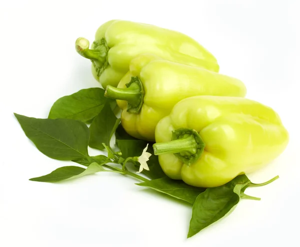 Γλυκό πράσινο πιπέρι — Φωτογραφία Αρχείου