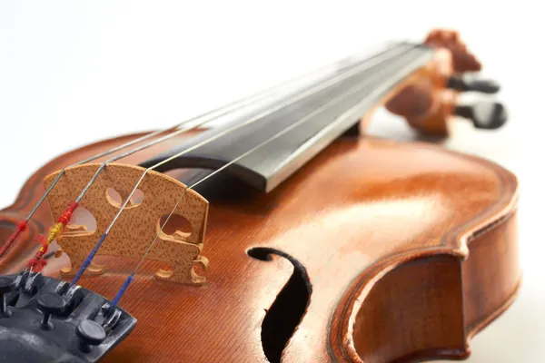 Fondo violín —  Fotos de Stock