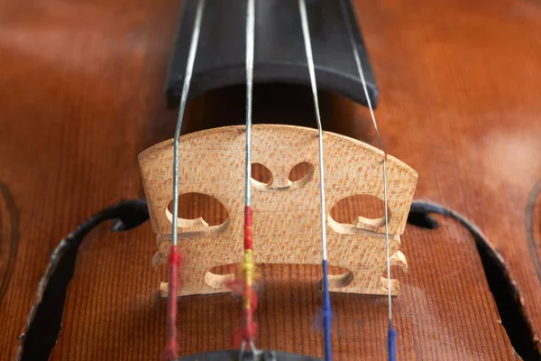 Fundo violino — Fotografia de Stock
