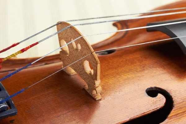 Violin background — Stock Photo, Image