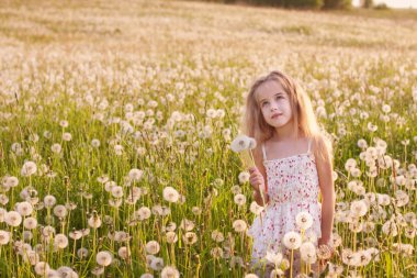 dandelions ile küçük kız