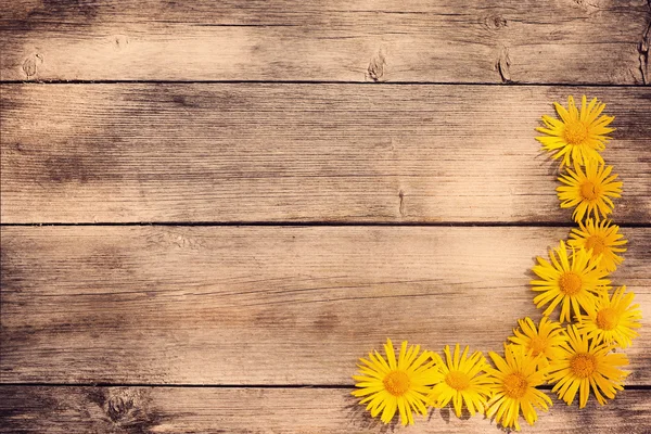 Žluté květy na dřevěném pozadí — Stock fotografie