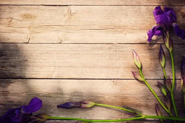 Iris su fondo di legno — Foto Stock