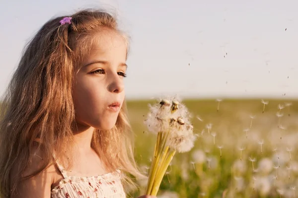 Маленькая девочка, дующая одуванчиками — стоковое фото