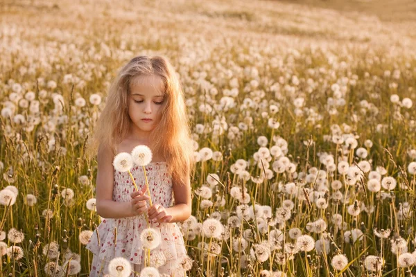 Little girl with dandelions — Stock Photo, Image