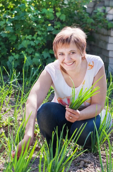 Kadın onu bahçede genç soğan bir demet ile — Stok fotoğraf