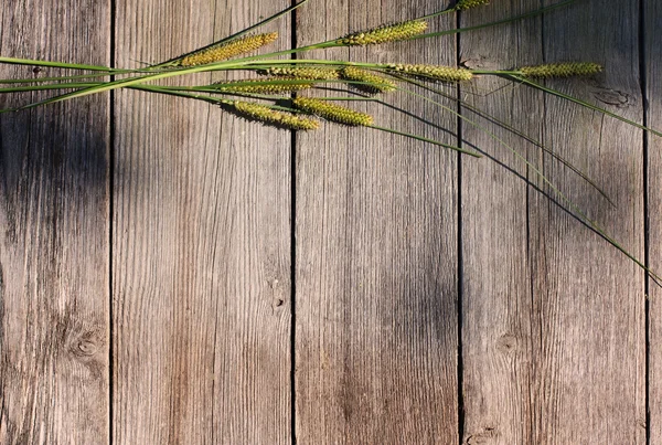 Hierba sobre fondo de madera — Foto de Stock