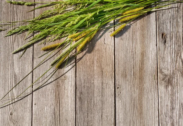 Ahşap arka plan üzerinde çim — Stok fotoğraf