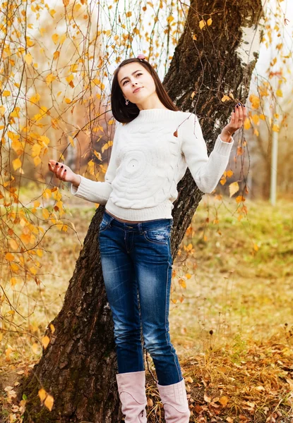 Красивая девушка в осеннем парке — стоковое фото