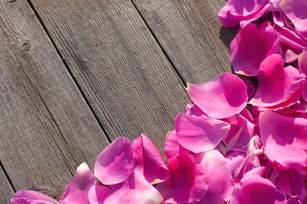 Petali rosa su sfondo di legno — Foto Stock