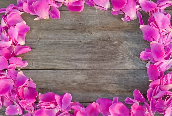 Rosa Blütenblätter auf hölzernem Hintergrund — Stockfoto
