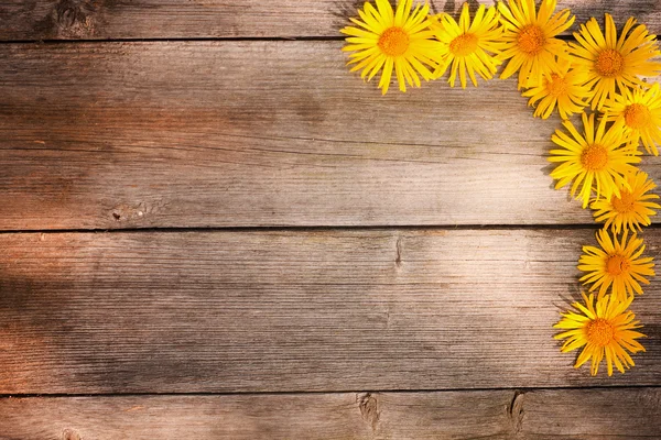 Jarní květiny na dřevěném pozadí — Stock fotografie