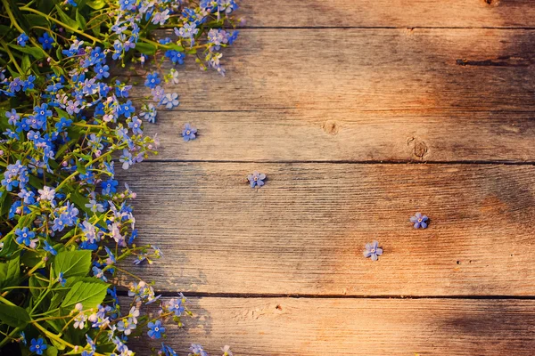 Frühlingsblumen auf Holzgrund — Stockfoto