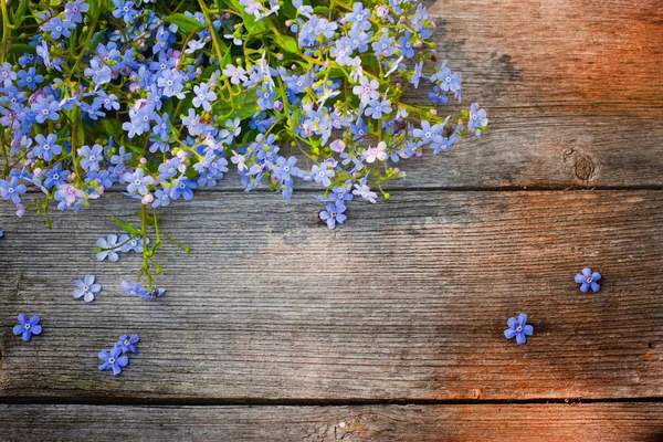 Flores sobre fondo de madera — Foto de Stock