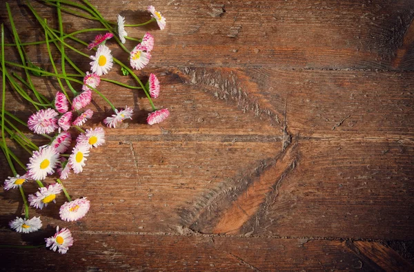 Цветы на деревянном фоне — стоковое фото