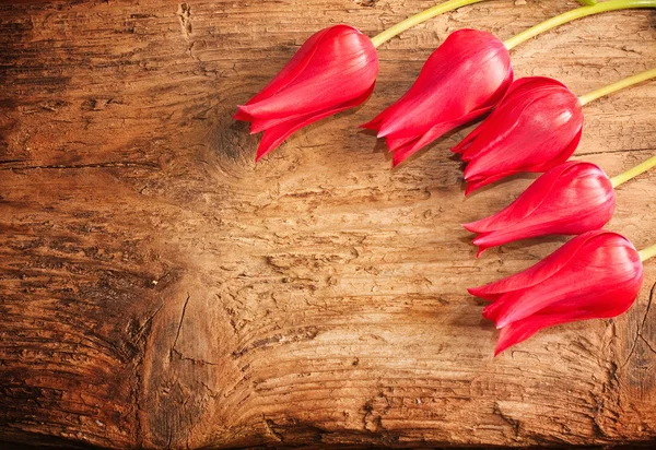 Tulipanes sobre fondo de madera —  Fotos de Stock