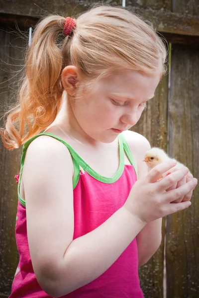 stock image Beautiful girl with little chicken