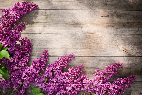 De mooie lila op een houten ondergrond — Stockfoto