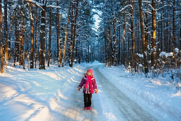 Dívka v zimním lese — Stock fotografie